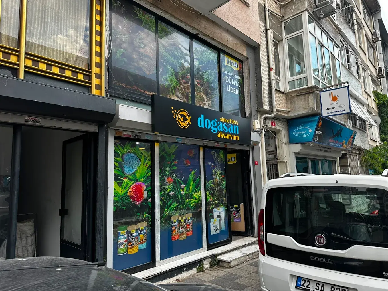 Doğasan Akvaryum