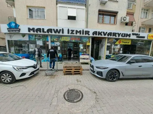 Malawi İzmir